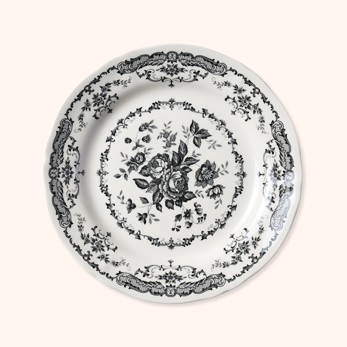 Graphite Dinner Plate