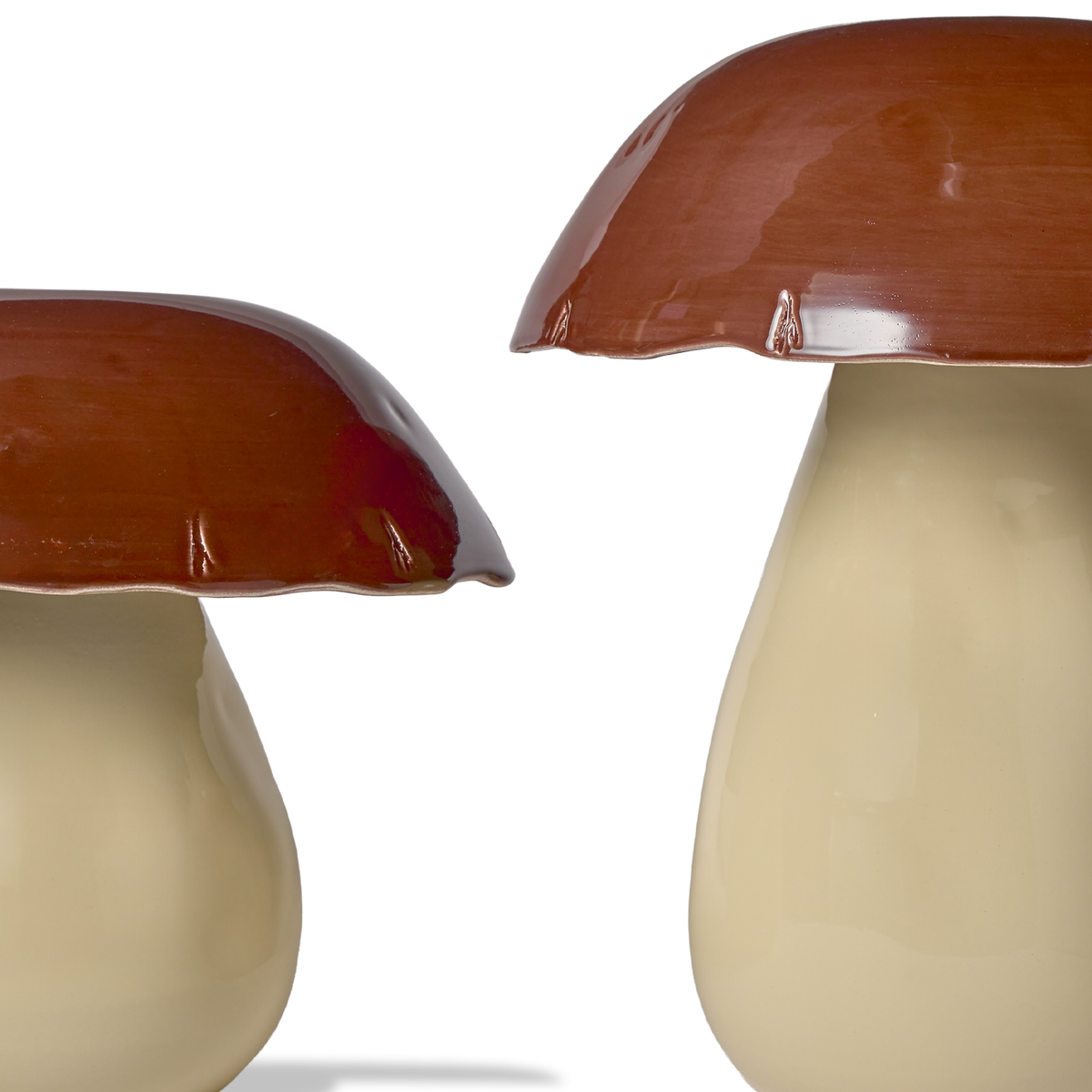 Brown Mushroom