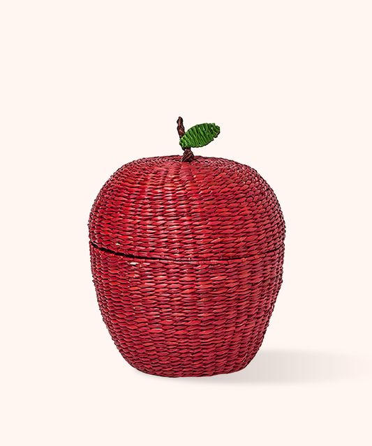 Contenitore con Coperchio